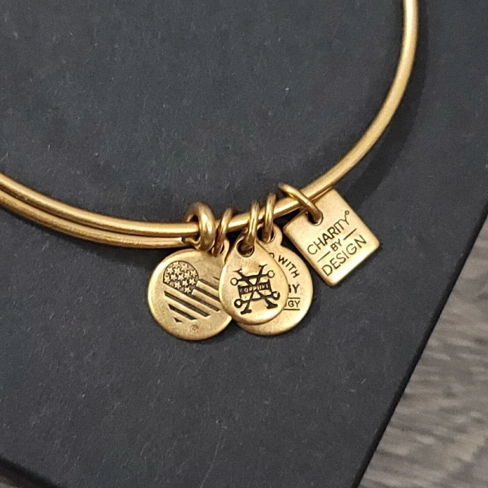 Alex and Ani Completely Blessed Charm Bracelet Positive Faith Gratitude - Picture 4 of 10